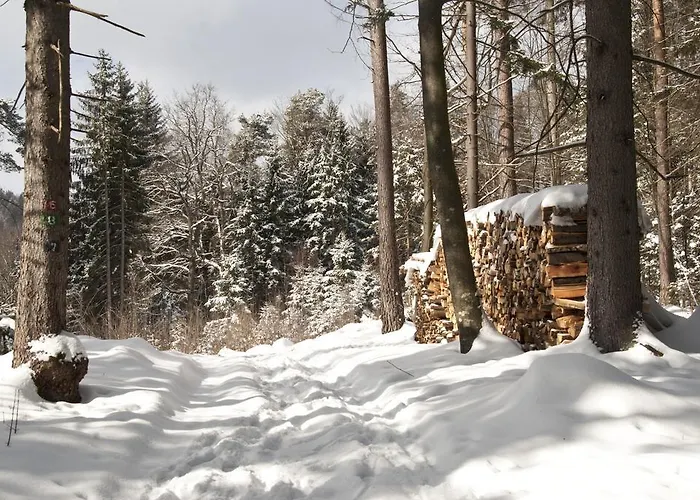 בית הארחה Haus Iris