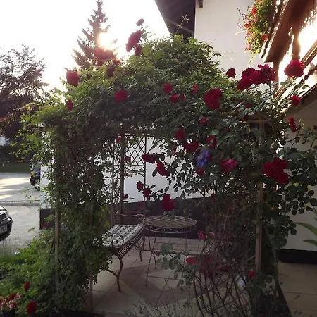 Haus Iris Guest house 3*