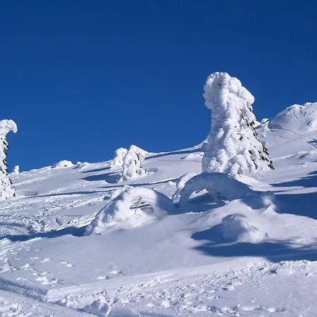 Haus Iris Vendégház 3*